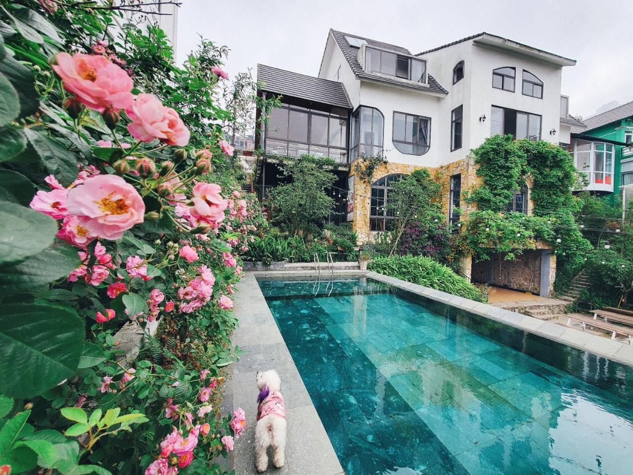 Le Vent Tam Dao Homestay Exterior photo