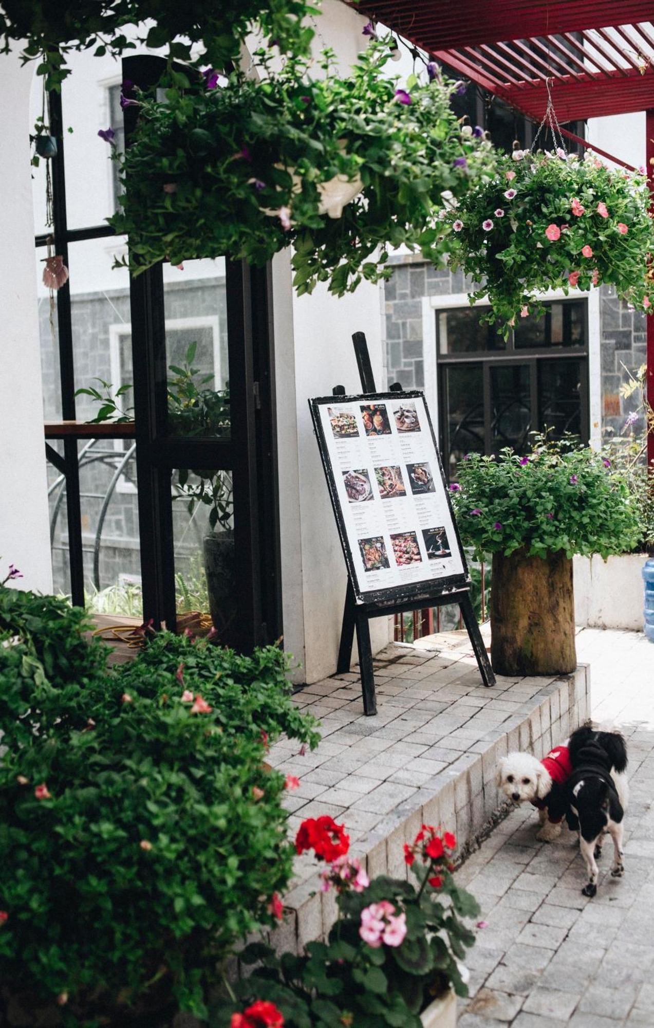 Le Vent Tam Dao Homestay Exterior photo